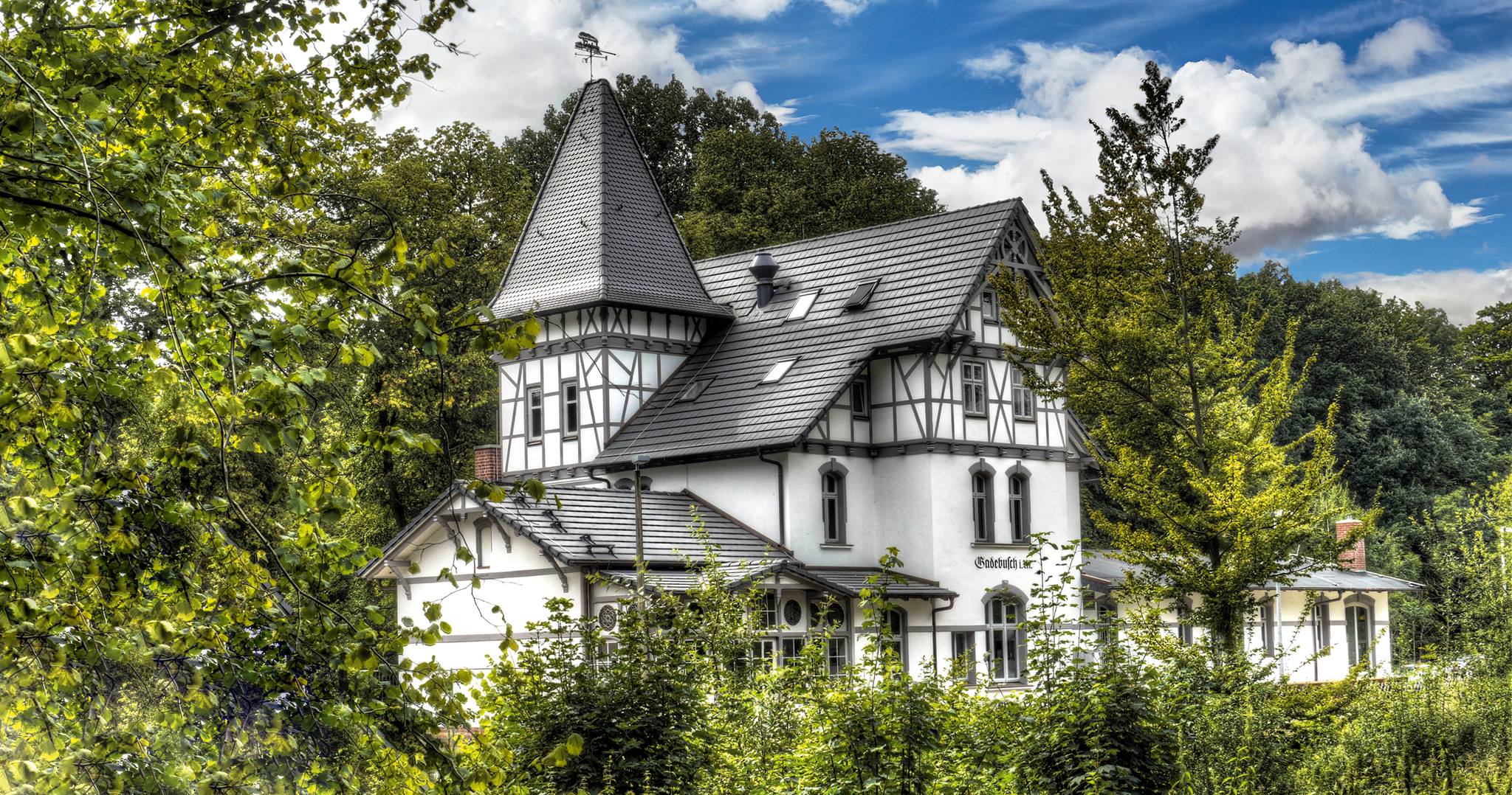 Foto-im-Wald
